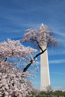 Landmarks