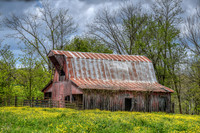 Rustic Barns and Cows